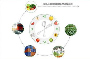燃油車時代謝幕，物聯(lián)網(wǎng)如何重塑農(nóng)產(chǎn)品產(chǎn)銷新生態(tài)